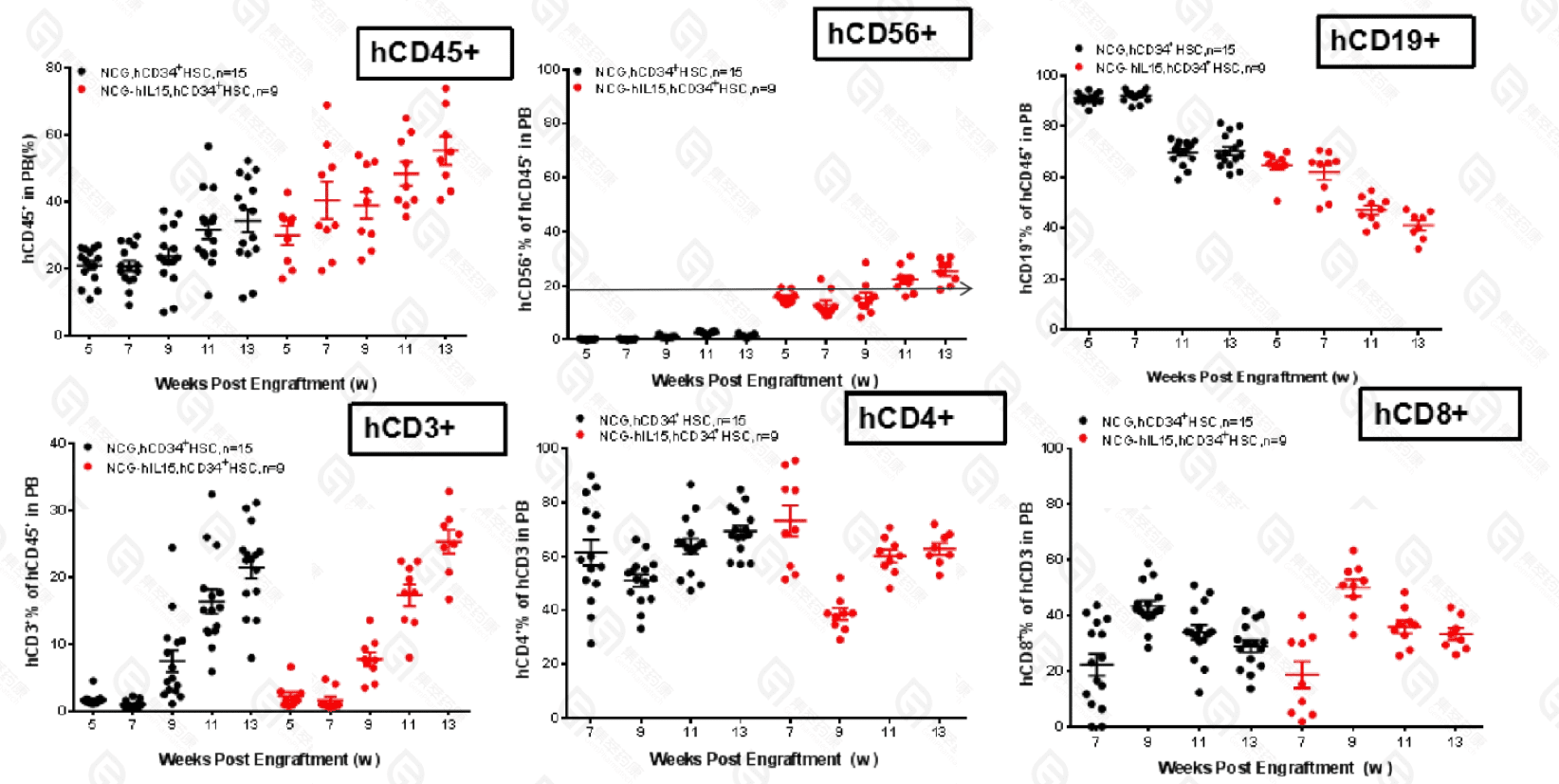 Reasons why some cancer cell therapy research is transitioning from CAR-T to CAR-NK.