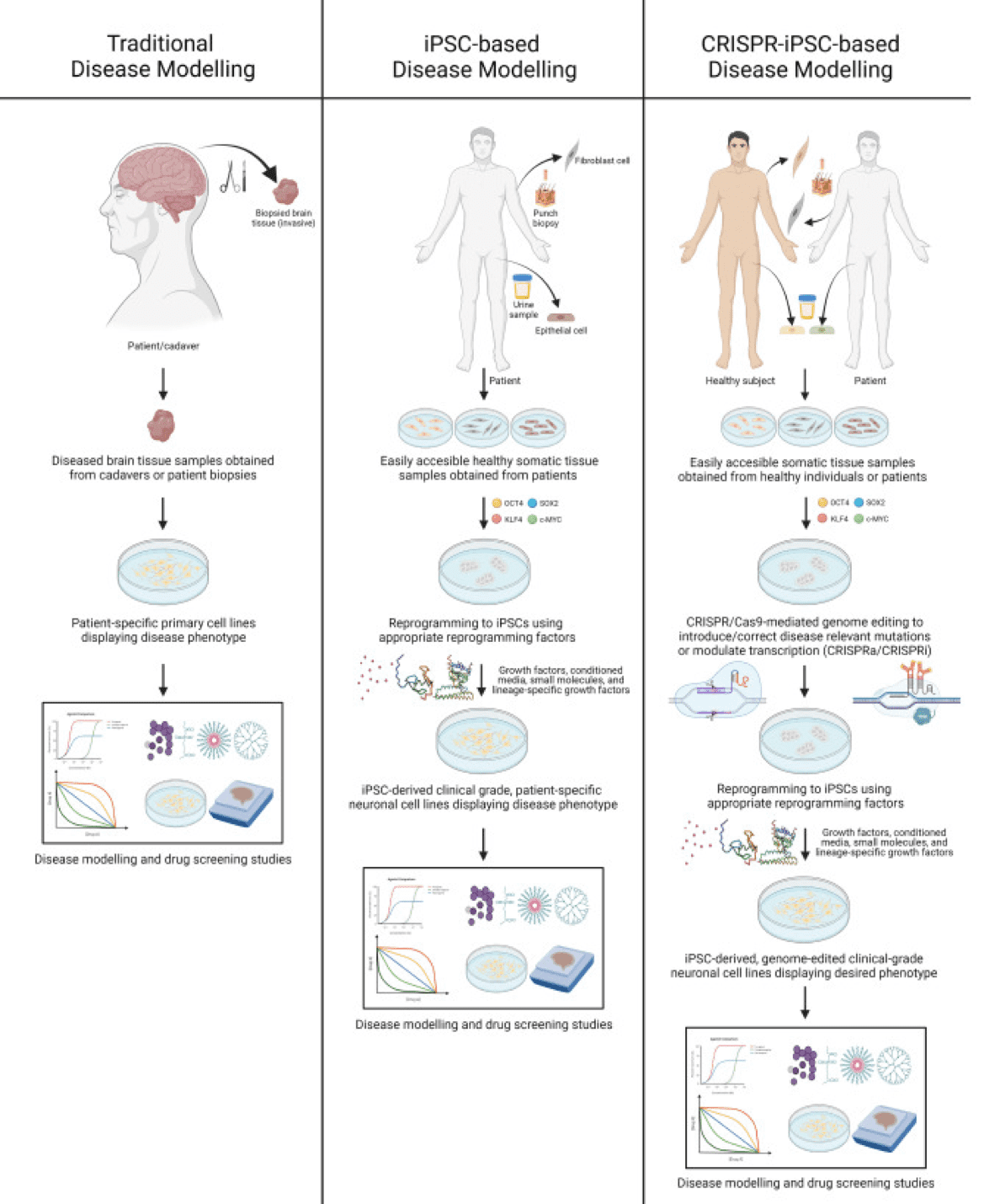 CRISPR-iPSC-based disease modelling