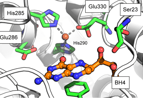 Virtual Screening using computer assisted drug design