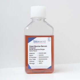 S181D Fetal Bovine Serum