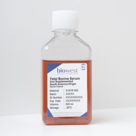 Fetal Bovine Serum (FBS) South America, Iron Supplemented – S181R